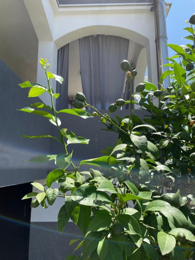 Mare Apartment Zadar Exterior photo